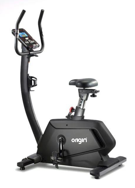 Origin Alpha Upright Bike Rear view 