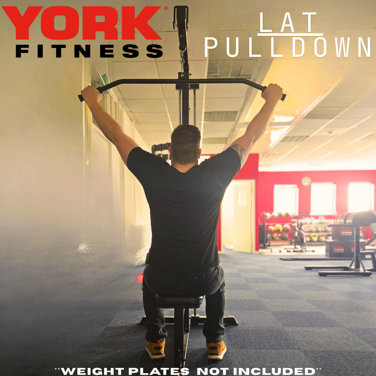 York Barbell C19LR Cable Lat Pulldown and Low Row In action rear view